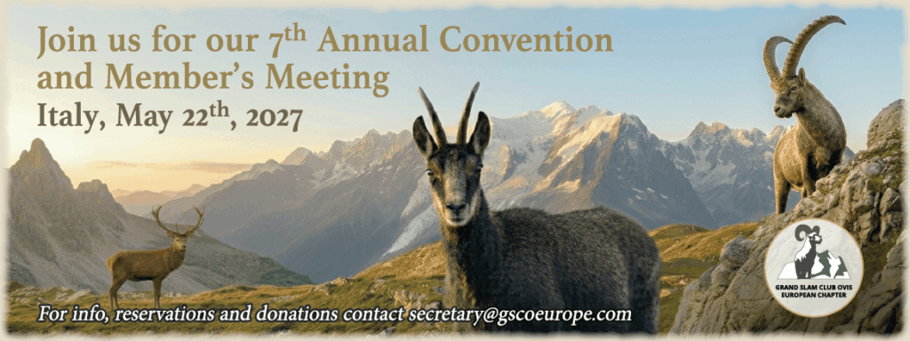 GSCO European Chapter